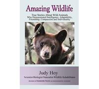 Amazing Wildlife: Amazing Wildlife: True Stories About Wild Animals Who Demonstrated Intelligence, Adaptability, Friendship, Compassion and Individuality