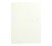 [Amazon Amazon.co.jp Exclusive] Washi Kawasumi OA Washi Paper, Hanagoyomi, Cream, A4 Size, Pack of 25
