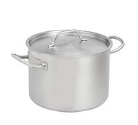 Amazon Basics 9.5 litres Stainless Steel Aluminium-Clad Stock Pot with Cover, Silver