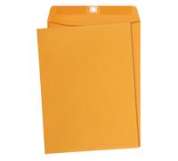 Amazon Basics 9 x 12-Inch Clasp Kraft Envelopes Gummed 100-Pack