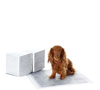 Amazon Basics Carbon Odour-Control Puppy Training Pads, Leakproof, Regular, Pack of 80, Grey