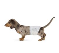 Amazon Basics Dog Wrap, Disposable Nappies for Male Dogs Only, Small, Pack of 50, White