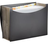 Amazon Basics Expanding File, A4 Size - Black 1-Pack