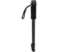 Amazon Basics Lightweight Portable Extendable Camera & Photography Monopod, Alu