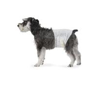 Amazon Basics Male Dog Wrap, Disposable Nappies - M, Pack of 50, White