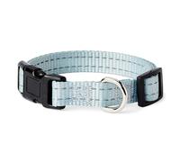 Amazon Basics Reflective Polyester Dog Collar with Quick-Release Buckle, Adjustable, for Medium Dogs, S, Cyan