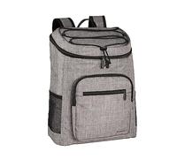 Amazon Basics Reusable Insulated Soft Cooler Backpack, 30 Can Capacity, Gray