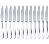 Amazon Basics Stainless Steel Dinner Knife with Round Edge, Pack of 12