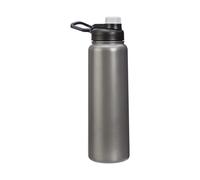 Amazon Basics Stainless Steel Insulated Water Bottle Spout Lid 30.1 ounces Gray