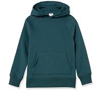 Amazon Essentials Boys' Fleece Sweater Hoodie Sweatshirts, Dark Green, 9 Years