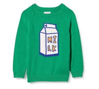Amazon Essentials Boys' Pullover Crewneck Sweater, Green Milk Carton, 4 Years