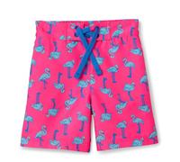 Amazon Essentials Boys' Regular-Fit Quick-Dry Swimming Board Shorts