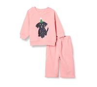 Amazon Essentials Unisex Babies' French Terry Sweatshirt and Sweatpants Set, Pack of 2, Peach Party Animals, 3-6 Months