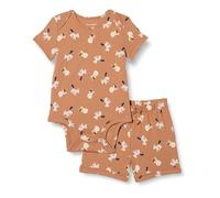 Amazon Essentials Unisex Babies' Soft Cotton Ribbed Short Sleeve Bodysuit and Pull-On Shorts Set, Lion Pony, 18 Months