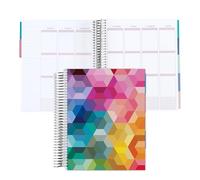 Amazon Exclusive Coiled Undated LifePlanner - Hexagon classic cover, platinum coil