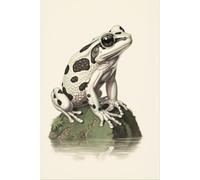 Amazon Milk Frog Notebook: Beautiful Illustration / 6" x 9" / 100 Lined Pages