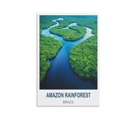 Amazon Rainforest Brazil Vintage Travel Posters 20x30inch(50x75cm) Canvas Wall Art Painting Prints