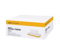 AmazonCommercial Facial Tissues, 2-ply Premium, 4000 Sheets (40 packs of 100), Sheet Size: 20 cm x 21 cm