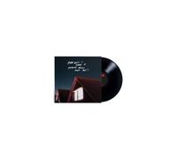 AMAZONS: HOW WILL I KNOW IF HEAVEN - LP vinyl BRAND NEW