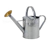 Ambassador 9L Galvanised Watering Can