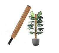 Ambassador Coco Fibre Moss Pole Climbing Plant Support Cane Non Extendable 60Cm