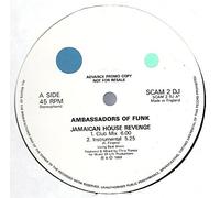 Ambassadors Of Funk - Jamaican House Revenge