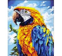 AMBATTERY Animal Latch Hook Craft Kits Parrot And Plant Doormat Carpet Making Kits,Gift Packing Diy For Teenager/Adults With Printed Canvas 31x45in