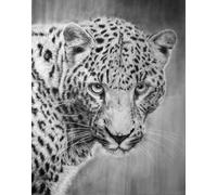 AMBATTERY Craft Kits for Adults Leopard Animal Portrait Doormat Carpet Making Kits，Interlocking Hook Rug Gift Packing DIY for Teenager/Adults with Printed Canvas 23x35in