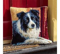 AMBATTERY DIY Latch Hook Kits Border Collie AnimalsDIY Latch Hook Rug Cushion Set for Beginners，Adults Or Children，Tapestry 17x17in