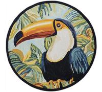 AMBATTERY DIY Latch Hook Rug Kit for Aldult,Animals Birds