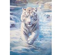 AMBATTERY Embroidery Kit for Beginners Adults, White Tiger in Ice and Snow,J,50 * 70cm Pre Stamped Cross Stitch Practice Kits with Pattern, English Instructions and Tools
