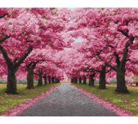 AMBATTERY Landscape Latch Hook Kits for Adultsflowering Trees and Main Road Cross Stitch Rug Making Kit，Carpet Crochet Kits Embroidery Set Needlework Crafts for Home Decor 31x63in
