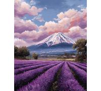 AMBATTERY Landscape Latch Hook Rug Kit Lavender Fields DIY Rug Making Craft Adults with Color Printed Canvas Crochet Embroidery Carpet Set Home Decor 31x63in