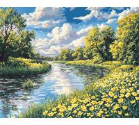 AMBATTERY Landscape Rug Making Kit Spring Forests Cross Stitch Set for Adults，DIY Handmade Latch Hook Rug Making Kit Crochet Carpet Set 33x45in