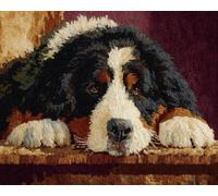 AMBATTERY Large Rug Making Kit Dog Lying Down 85x115cm