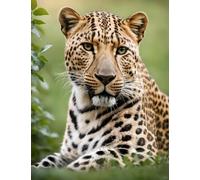 AMBATTERY Latch Hook Craft Kits Leopard Animal Portrait Latch Hook Rug Kits for Adults Yourself Knotting Set with Hooks DIY Carpet Make Tapestry Home Doormat 23x35in