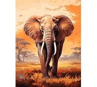 AMBATTERY Latch Hook Cushion Kits Abstract Animal Elephant Diy Latch Hook Kits Diy Tapestry Carpet Rug Making For Kids Adults Beginners Home Decor 35x46in