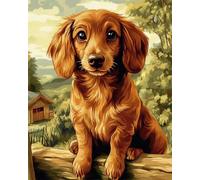 AMBATTERY Latch Hook Cushion Kits Dachshund Animal Portrait Latch Hook Rug Cross Stitch Embroidery Set,DIY Tools for Beginners,Adults,Tapestry Kit Cushion Knotting Carpets 21x29in