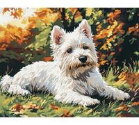 AMBATTERY Latch Hook Kit Rug Cartoon White Dog Animal Diy Latch Hook Kits Printed Rugs Set Diy Tapestry Carpet Making For Adults Beginners Home Decor 23x35in