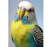 AMBATTERY Latch Hook Kit Rug Colorful Parrot Animal Doormat Carpet Making Kits,Interlocking Hook Rug Gift Packing Diy For Teenager/Adults With Printed Canvas 35x46in