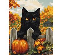 AMBATTERY Latch Hook Kits Rugs Black Cat Animal And Pumpkin Latch Hook Rug Kits For Adults Beginners Extra Large,Diy Crochet Set ,Tapestry Making Kit,Embroidery Sofa Cushion Carpet 21x29in