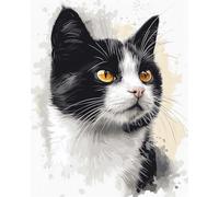 AMBATTERY Latch Hook Rug Kit Black And White Cat Animal Latch Hook Kit，Diy Carpet Making Kits For Beginners And Adults，Home Decoration，Cross Stitch Rug Set Cushion 60x90cm
