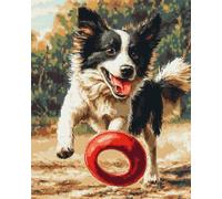 AMBATTERY Latch Hook Rug Kit Border Collie 55x75cm