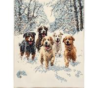 AMBATTERY Latch Hook Rug Kit Dog In The Snow Doormat Carpet Making Kits,Interlocking Hook Rug Gift Packing Diy For Teenager/Adults With Printed Canvas 35x46in