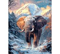 AMBATTERY Latch Hook Rug Kit Snow Mountain And Elephant Animals Diy Latch Hook Rug Kit For Adults Bedroom Rectangular Mat,Living Cushion Embroidery Craft Set 23x35in