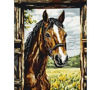 AMBATTERY Latch Hook Rug Kits for Adults Animal Horse DIY Latch Hook Kits DIY Tapestry Carpet Rug Making for Kids Adults Beginners Home Decor 31X63In