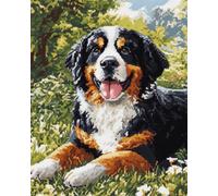 AMBATTERY Rug Making Kit for Adults Bernese Mountain Dog Animals Doormat Carpet Making Kits，Interlocking Hook Rug Gift Packing DIY for Teenager/Adults with Printed Canvas 35x46in