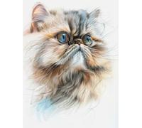 AMBATTERY Rug Making Kit For Adults Cute Persian Cat Latch Hook Rug Kits For Adults Printed Canvas Crochet Needlework Craft Rug Cushion Mat Tapestry 35x46in
