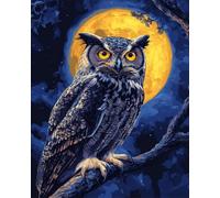 AMBATTERY Rug Making Kit For Adults Fantasy Owl Animal Diy Embroidery Cushion Rug，Latch Hook Kits Crochet Carpet Set With Pre-Print For Beginners And Adults Tapestry Kit Small 31x45in