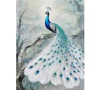 AMBATTERY Stamped Cross Stitch Kits, Beautiful Peacock,C,30 * 40cm Cross Stitch Kits for Adults Beginners,Full Range of Cross-Stitch Stamped Kits Needlecrafts for Home Wall Decor